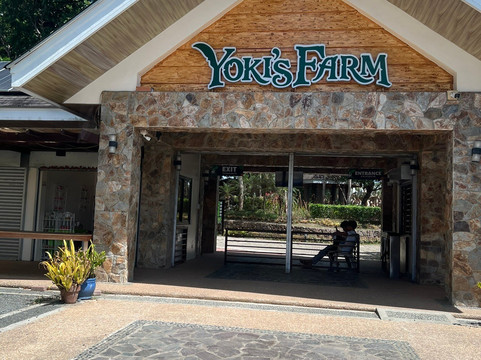 Yoki's Farm-大雅台必去景点