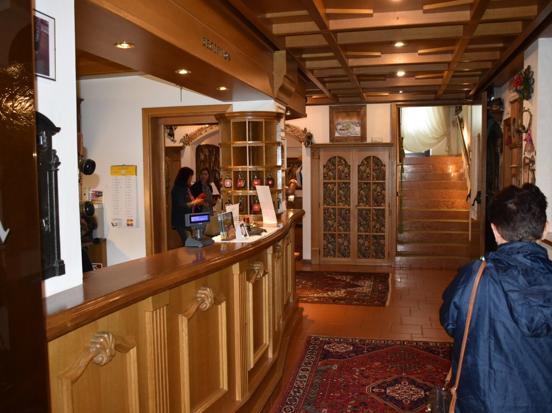 Park Hotel Arnica主图