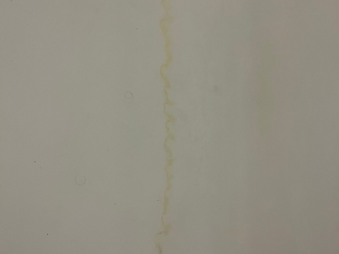 Fenwick Islander Motel主图