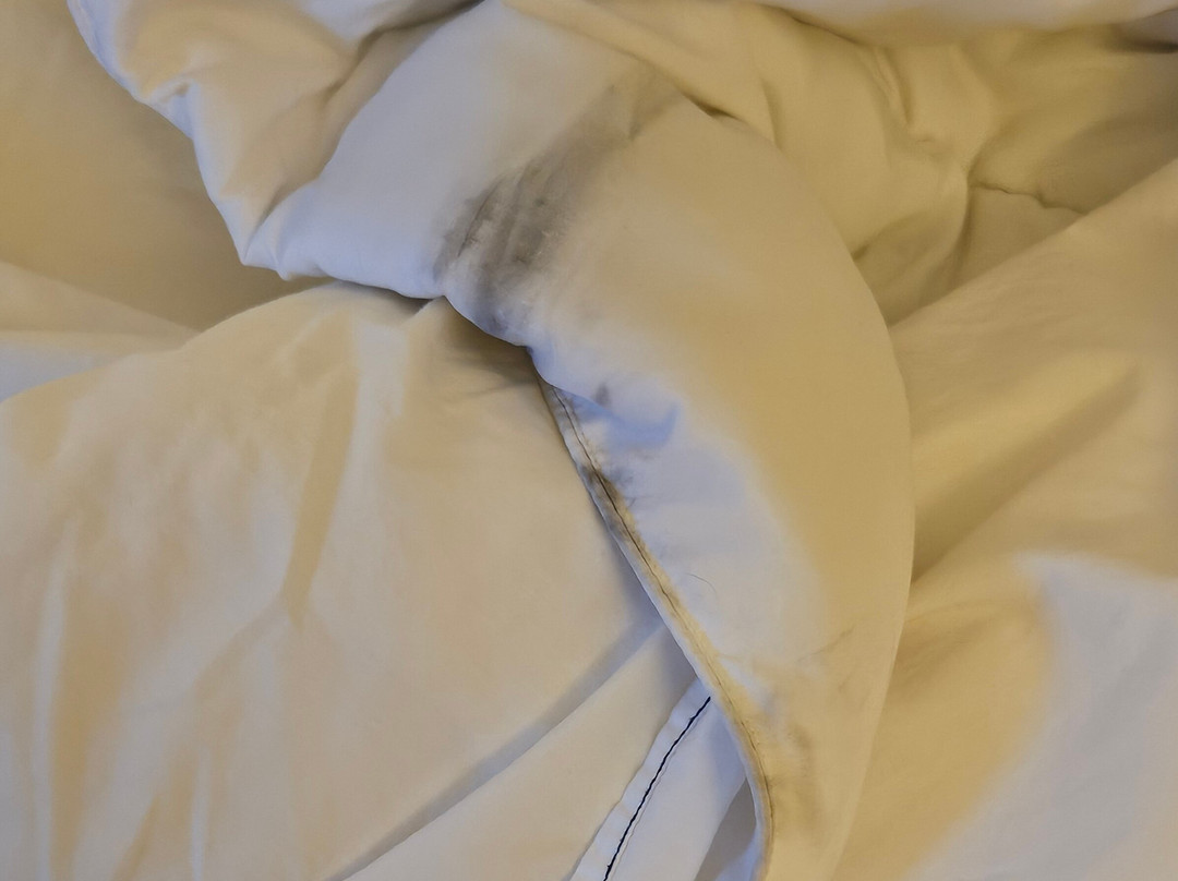 Ramada by Wyndham Enid主图