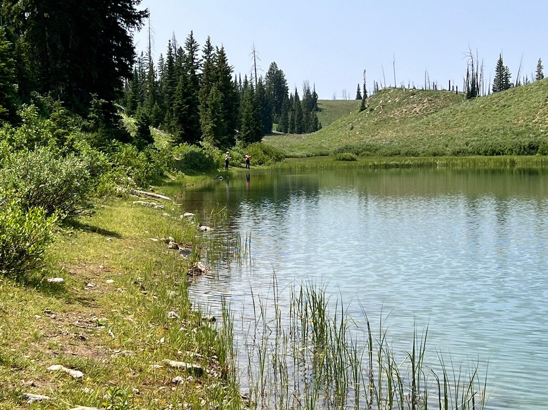 Yellowstone Outfitters-莫兰必去景点