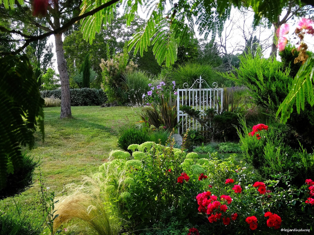 Les jardins du Coq景点图片