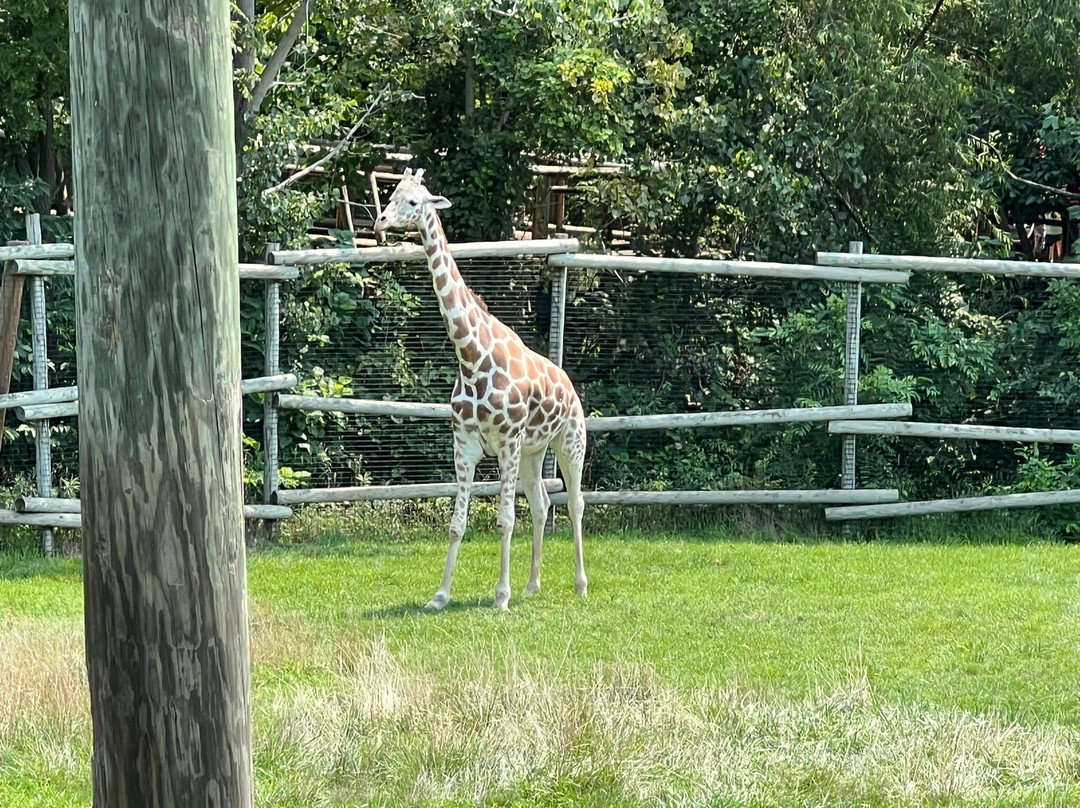 Peoria Zoo-皮奥里亚必去景点