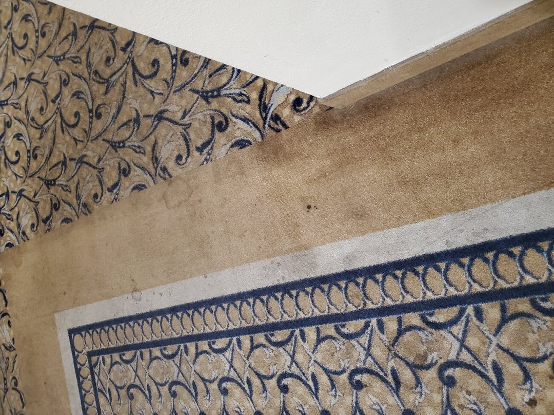 Wingate by Wyndham Waynesboro/Route 340主图