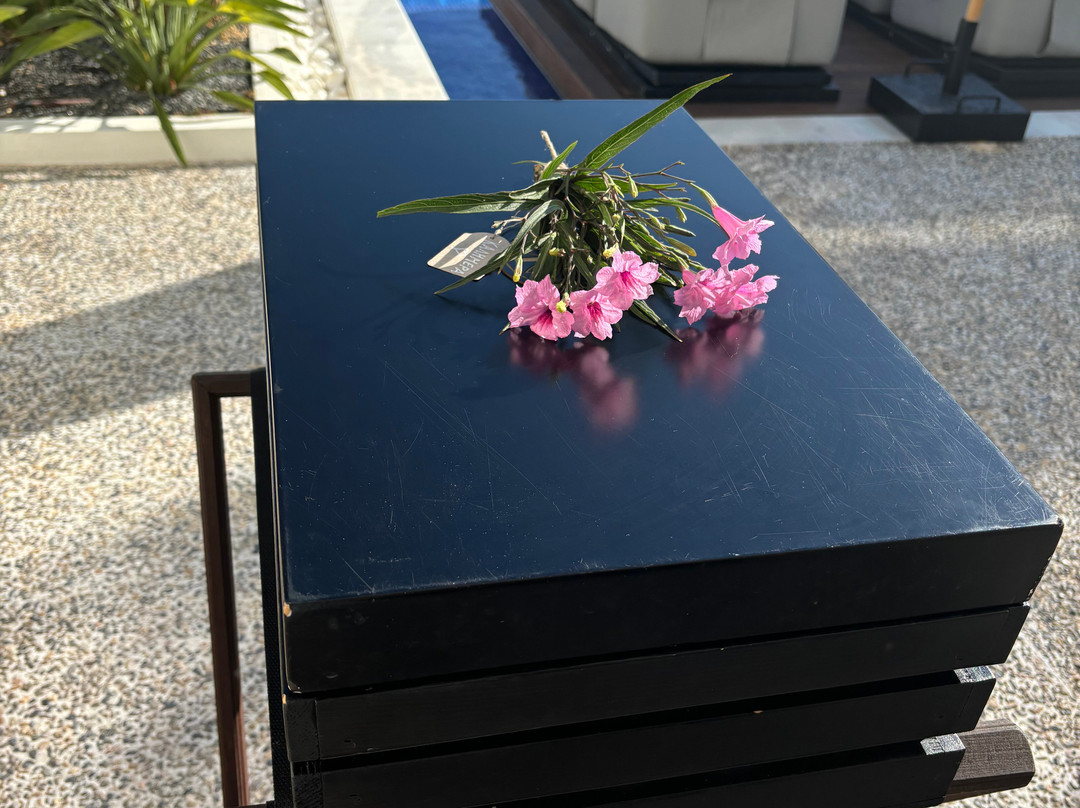 The Sand Suites-adults Only主图