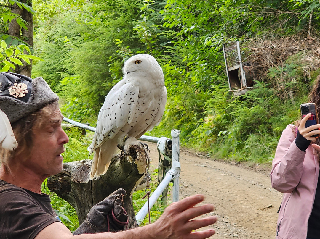 Kroschel Films Wildlife Center-海恩斯必去景点