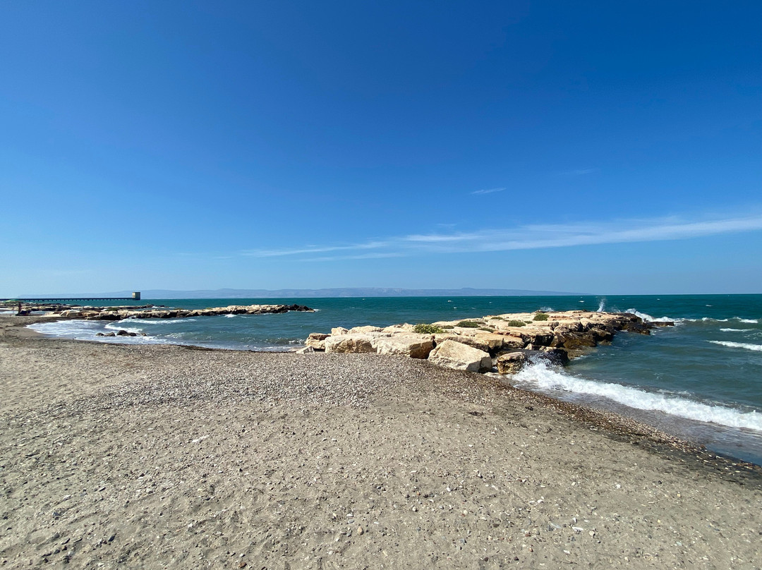 B&B Fenicottero Rosa主图