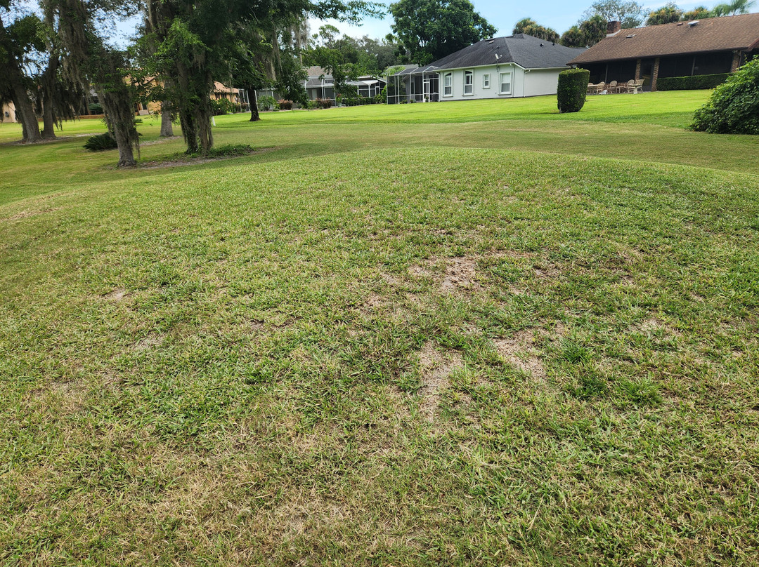 Spruce Creek Country Club景点图片