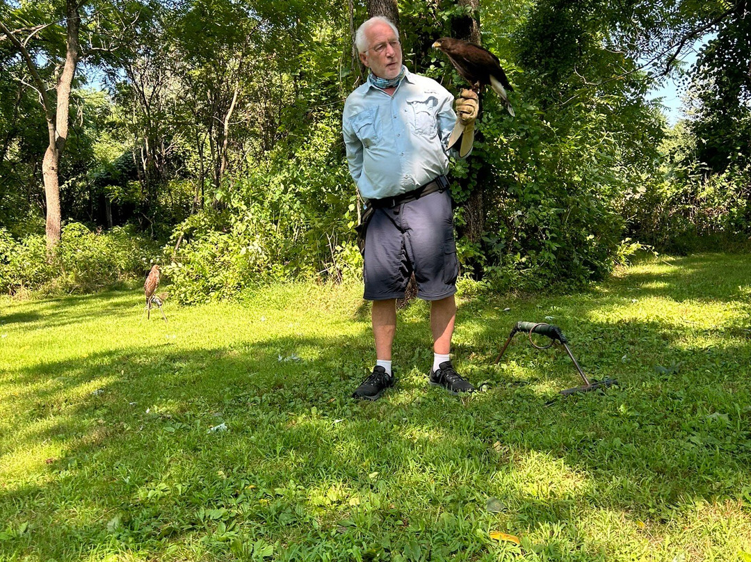 New England Falconry景点图片