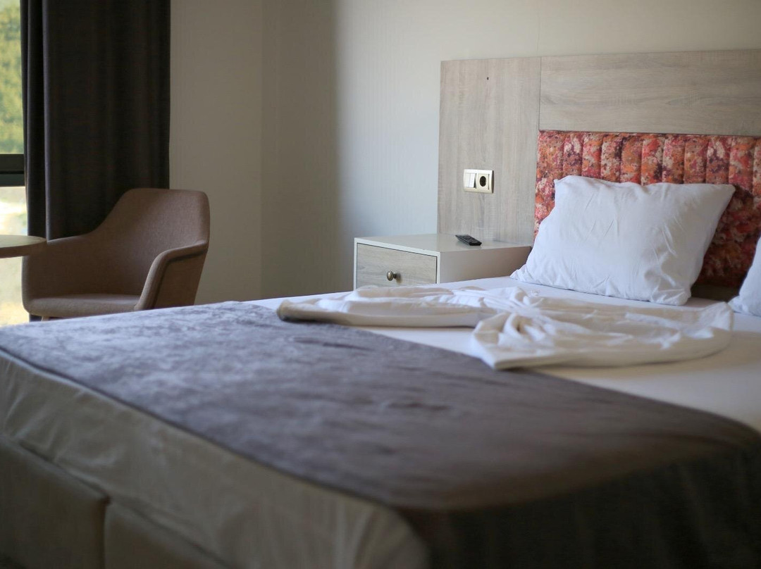 Adanis Park Termal Otel主图