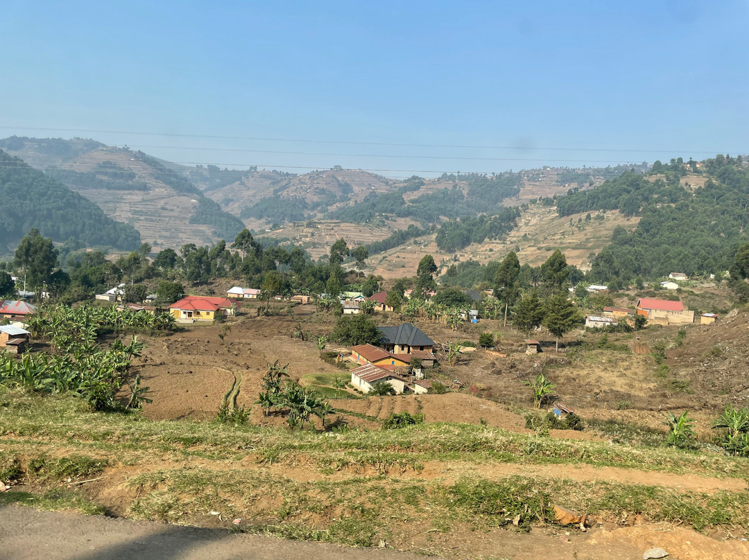 Gorilla Tour Booking Safaris-坎帕拉必去景点