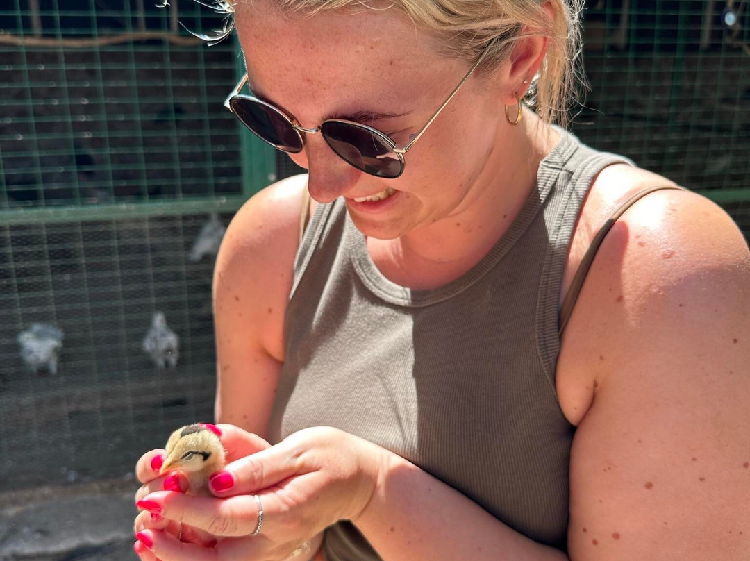 Kariofylli Farm-Lepetymnos必去景点