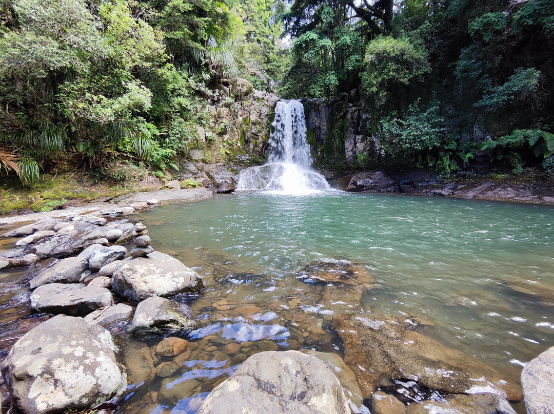 Waiau Falls Walk景点图片