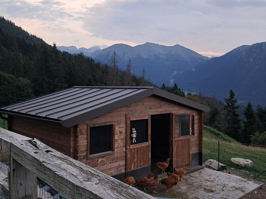 Agriturismo Ca' di Racc主图