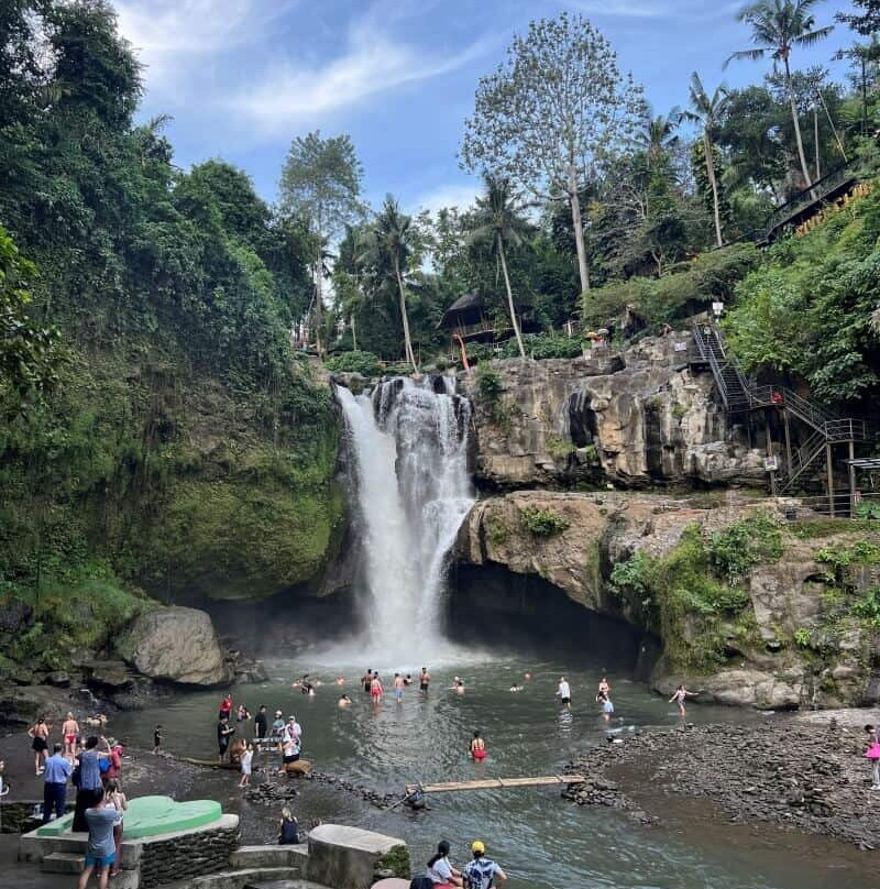 Lovina Bali Tour & Taxi Services景点图片