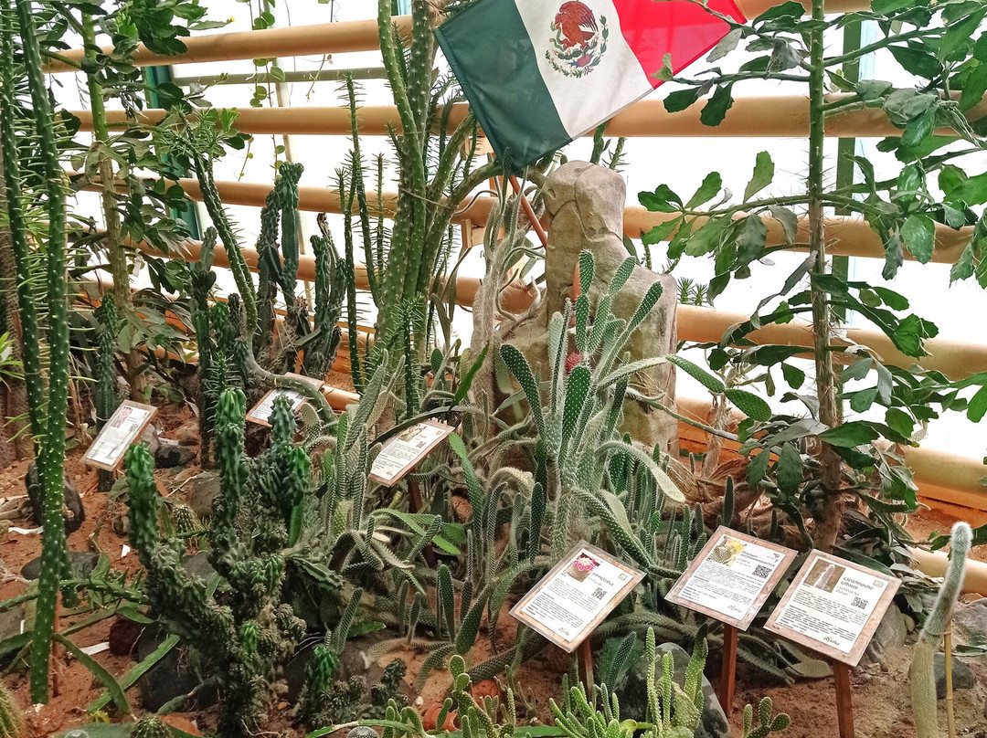Botanic Garden景点图片