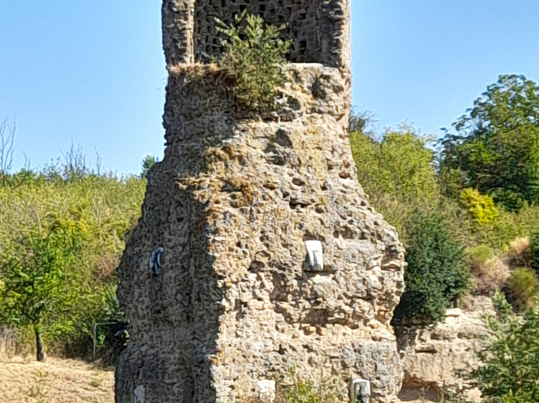 Parco Archeologico Di Otricoli景点图片