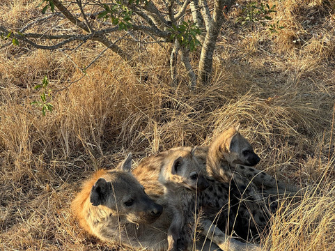 Bubezi Safaris, Tours & Transfers-雾观必去景点