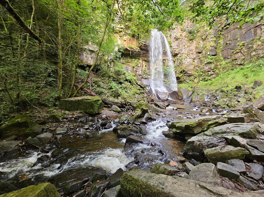 Melincourt Waterfall景点图片