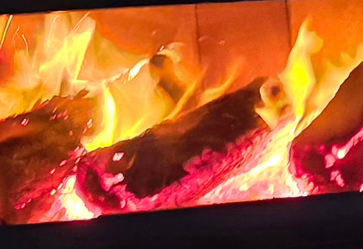 斯卡勒特森林度假屋主图