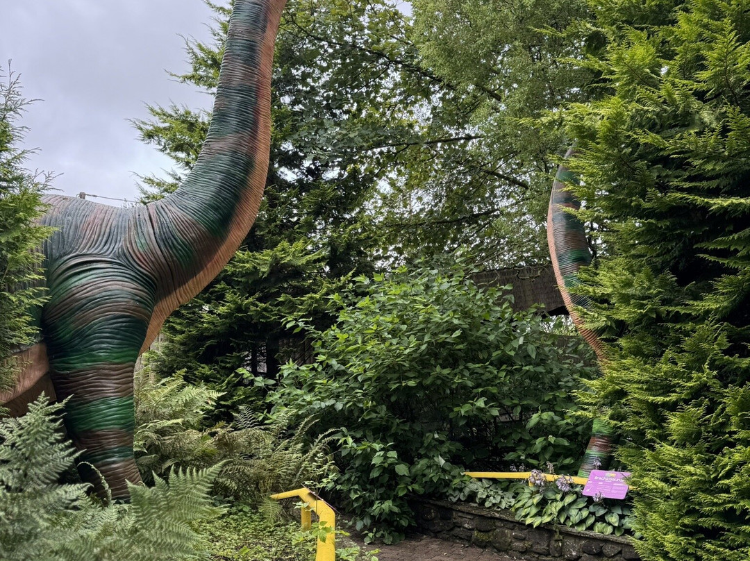 Dino Park景点图片