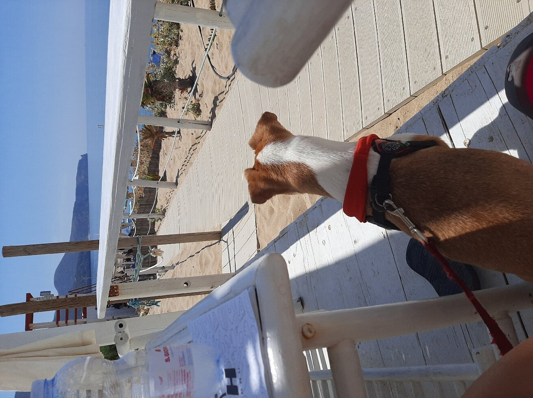 Spiaggia di San Nicolo'-Buggerru必去景点