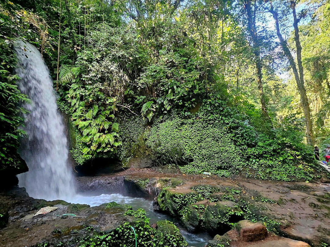 Manuaba Waterfall景点图片