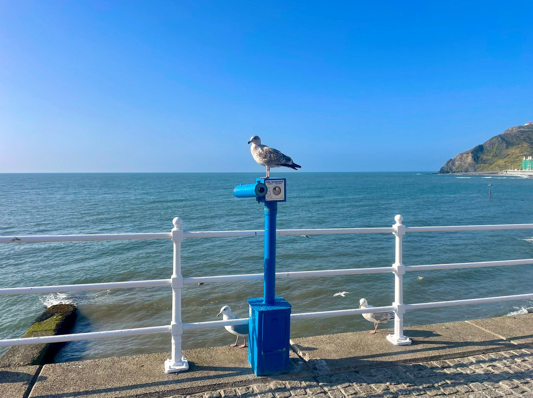Aberystwyth North Beach景点图片