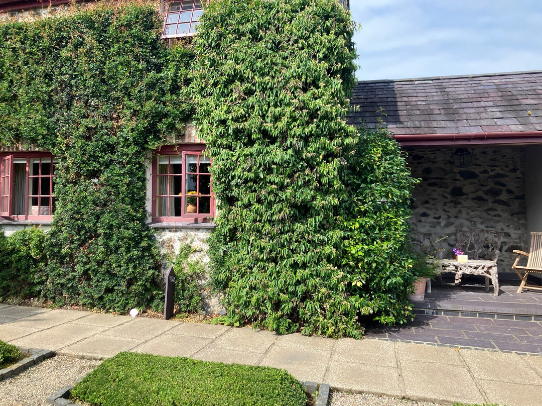 Plas Cadnant Hidden Gardens景点图片