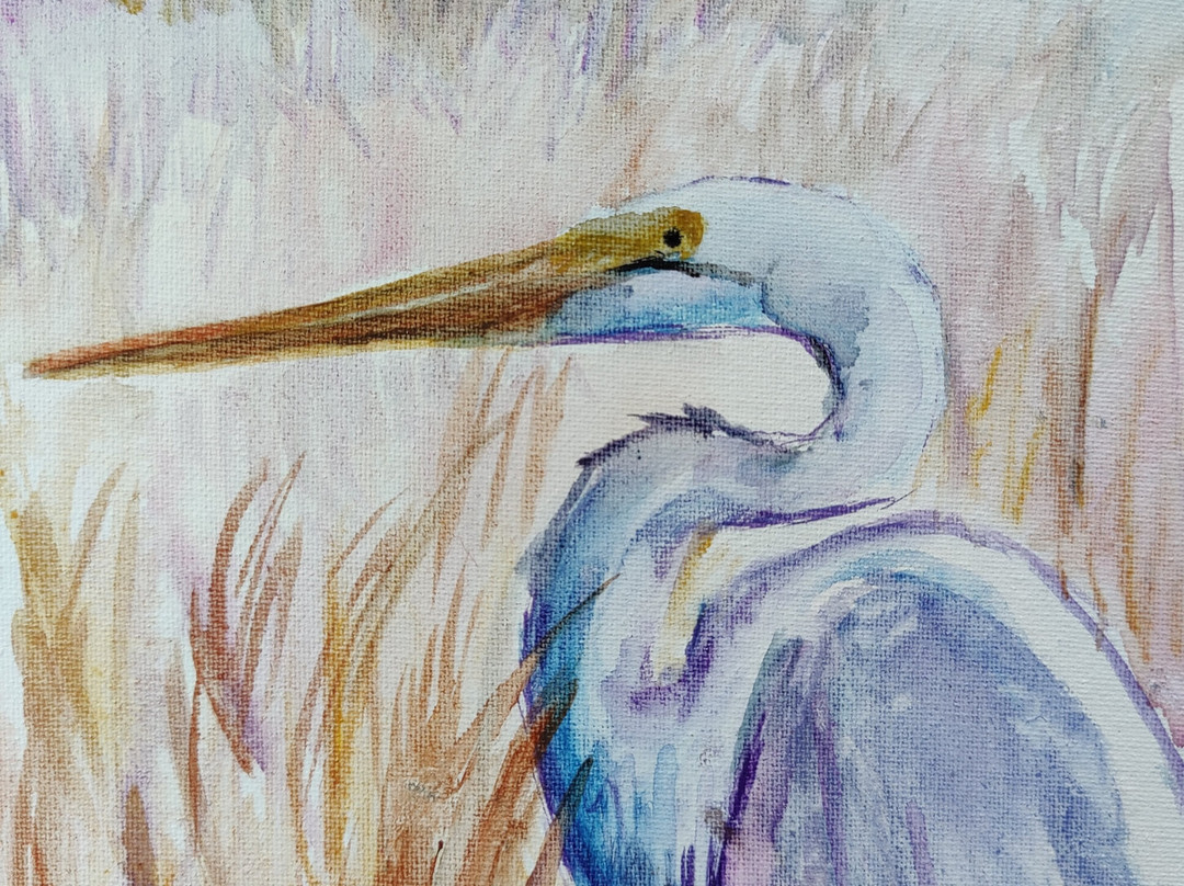 Art Ocracoke Gallery景点图片