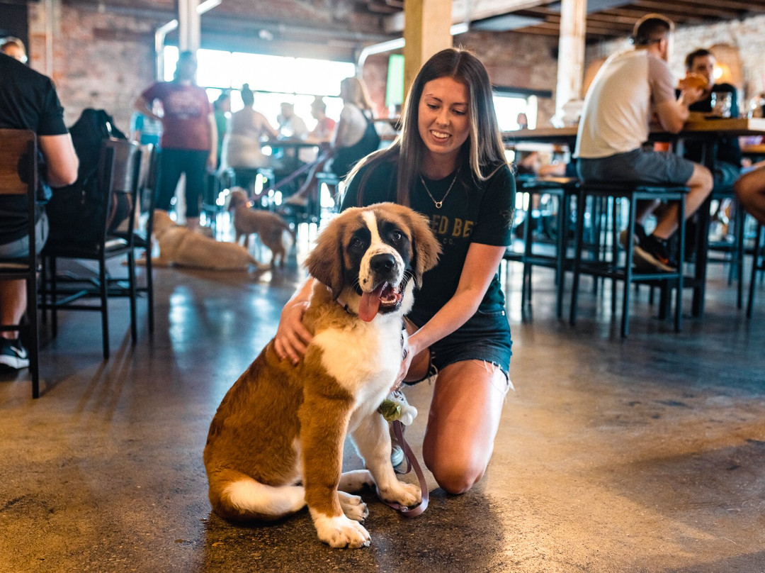 Bearded Bee Brewing Co.-Wendell必去景点