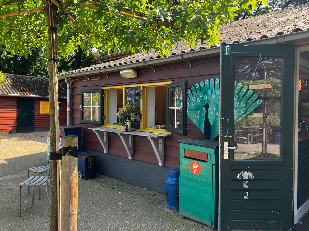 Kinderboerderij de Goffert-奈梅亨必去景点