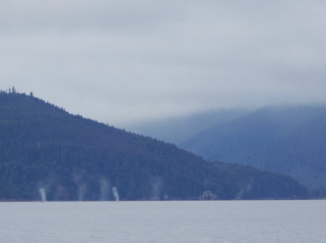 Sea Kayak Haida Gwaii - Butterfly Tours-Moresby Island必去景点