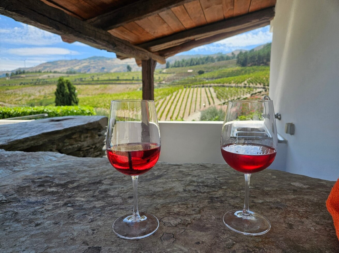 Quinta da Padrela景点图片