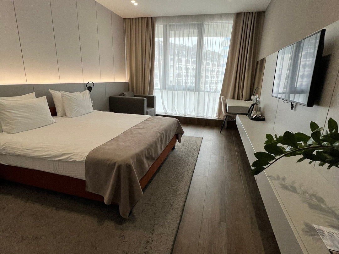 Premier Hotel Miskolc主图