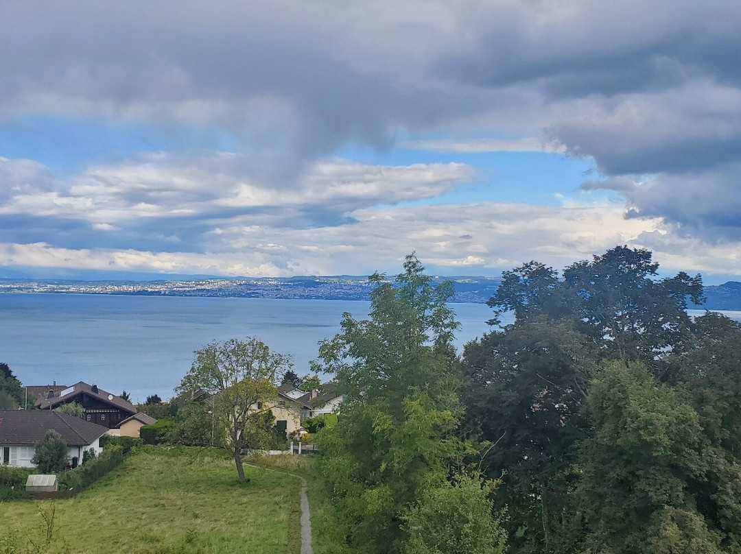 依云登山缆车景点图片