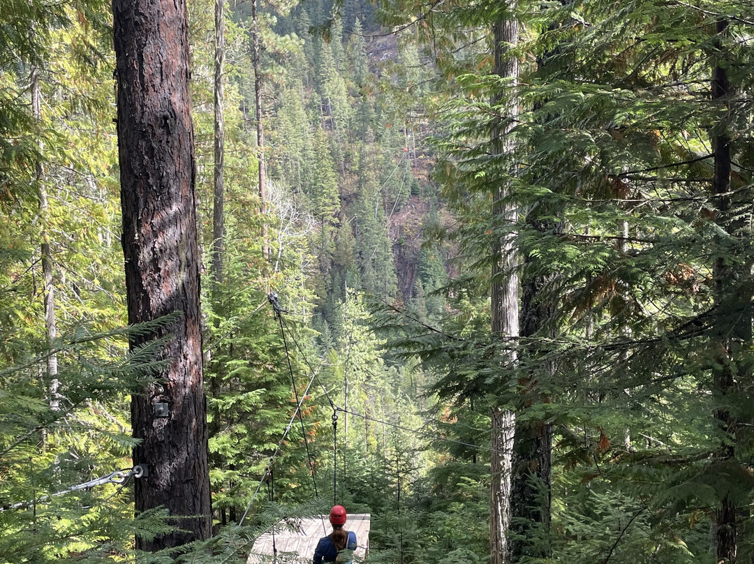 Kokanee Mountain Zipline景点图片
