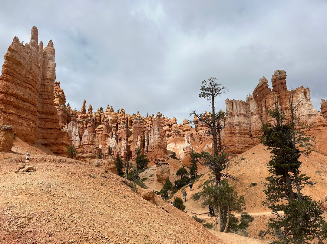 Rim Trail-布莱斯峡谷国家公园必去景点
