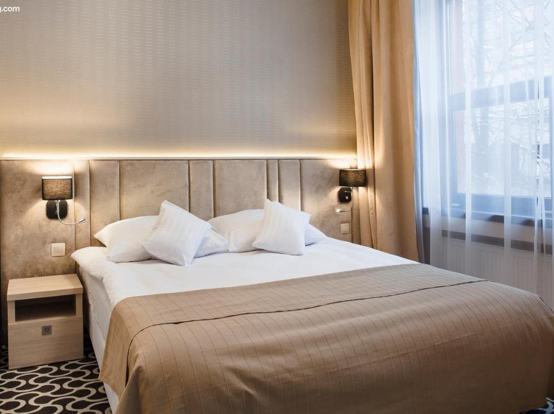 ART Hotel's Sosnowiec主图