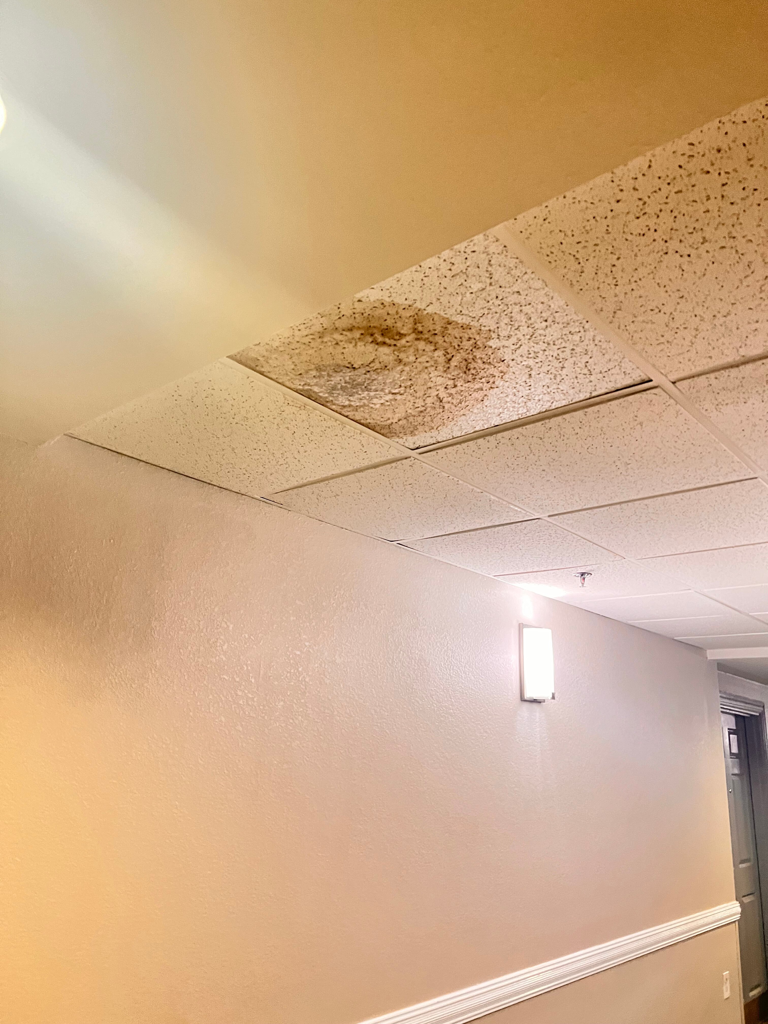 Comfort Inn & Suites Lithia Springs-浴室