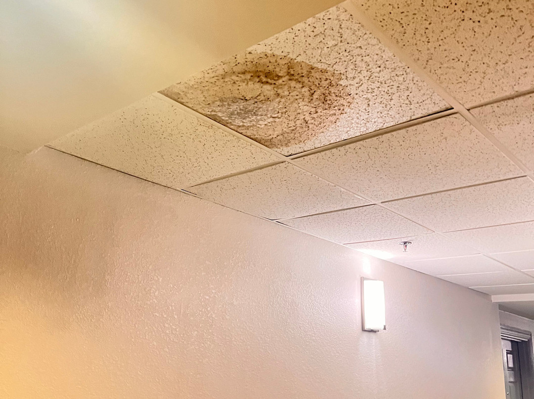 Comfort Inn & Suites Lithia Springs主图