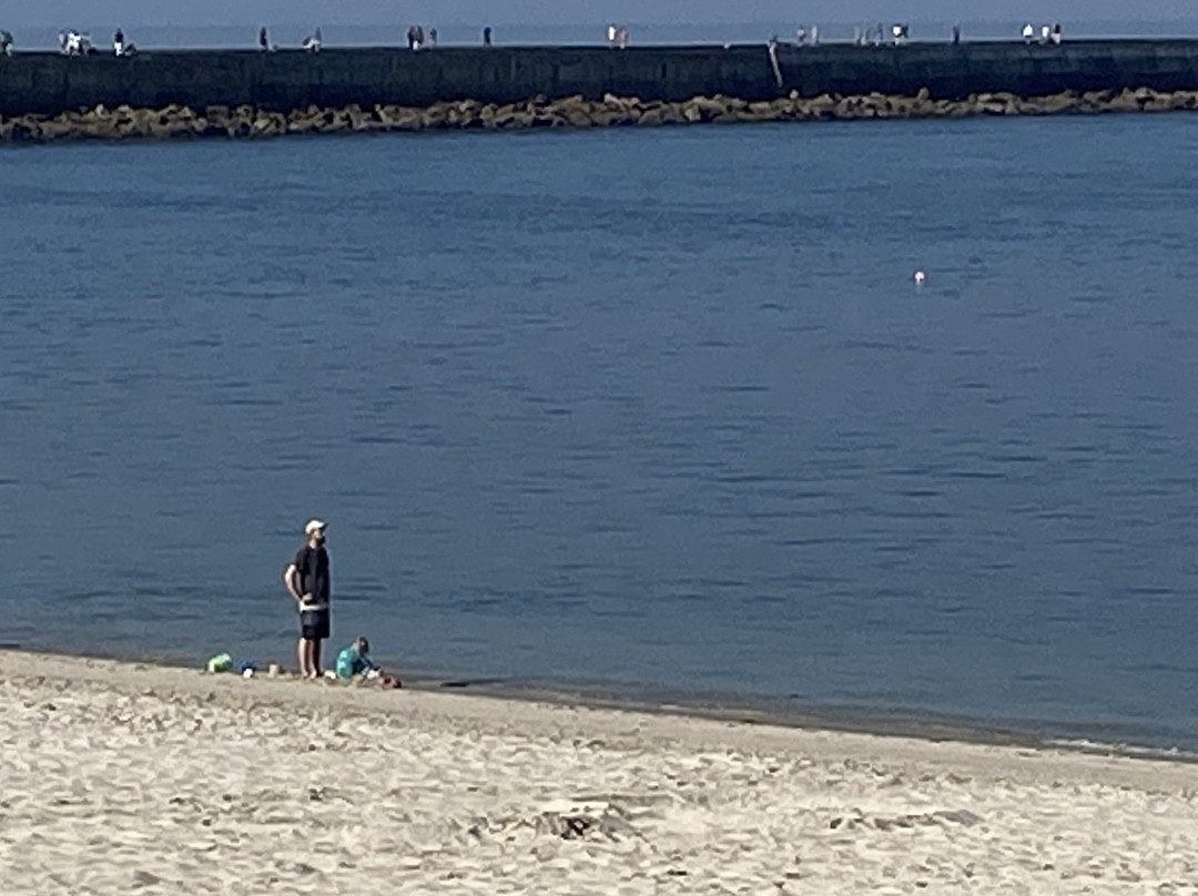 Praia da Barra景点图片