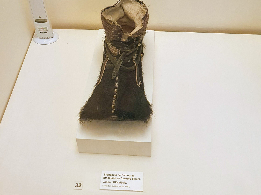Musée International de la Chaussure (International Footwear Museum)景点图片