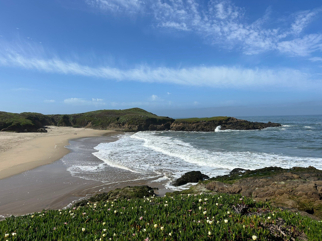 Bean Hollow State Beach-佩斯卡德罗必去景点