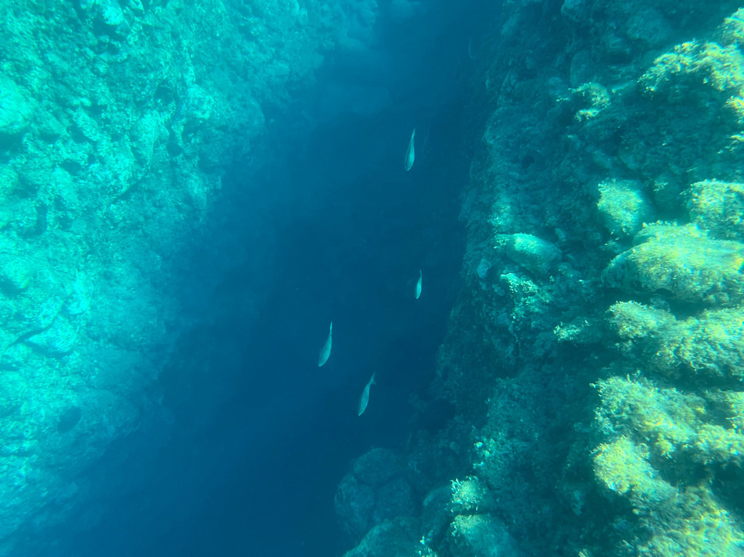 Black Rock Dive Centre-Skala Eresou必去景点