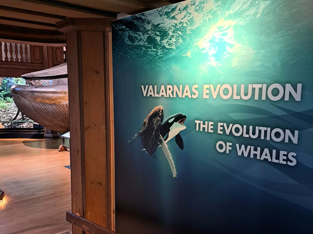 The Natural History Museum-哥德堡必去景点