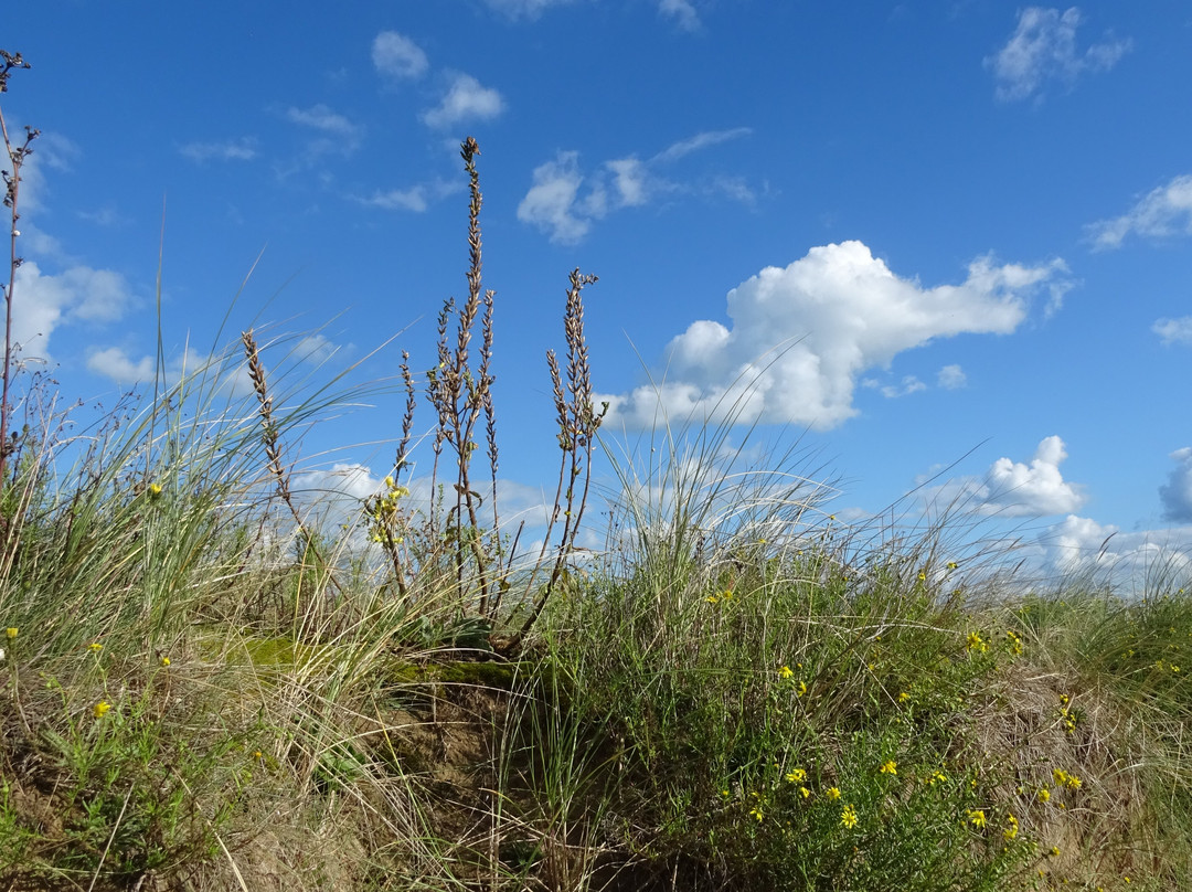 Plage de Cabourg-卡布尔必去景点