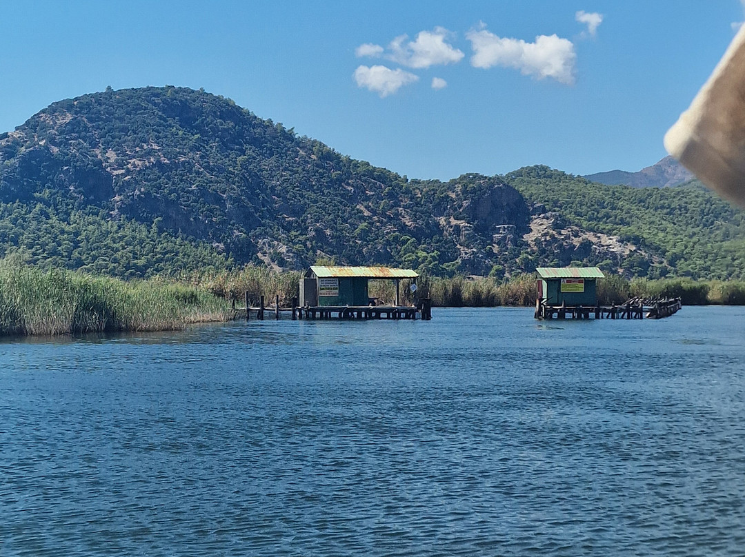 Lake Koycegiz景点图片