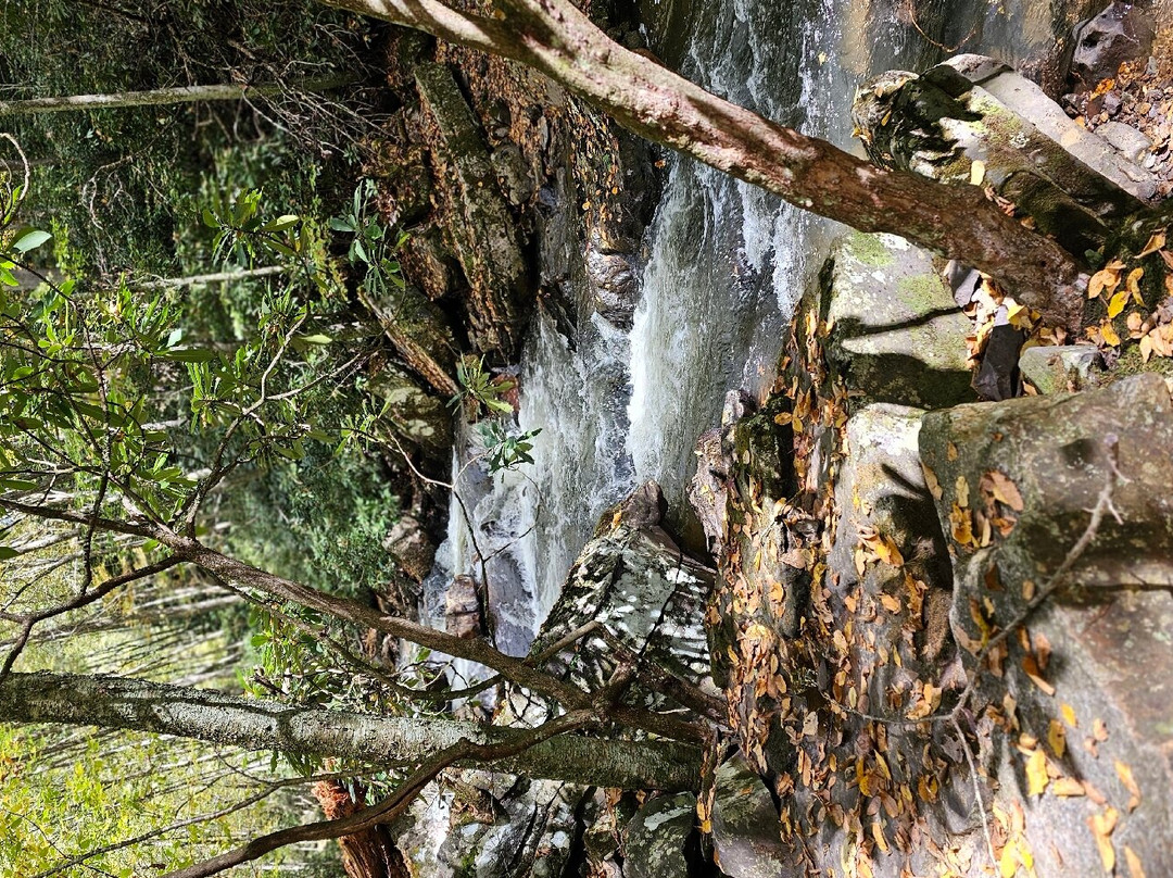 Cascade Falls景点图片