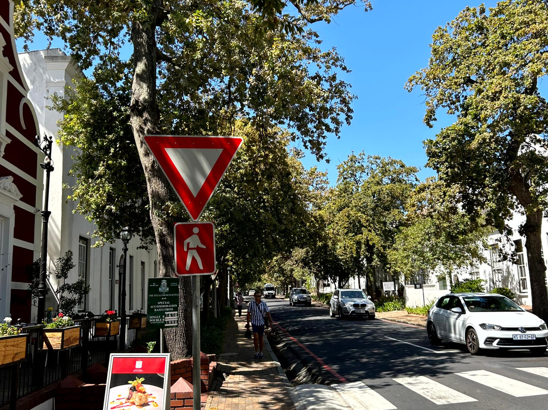 Dorp Street-斯泰伦博斯必去景点